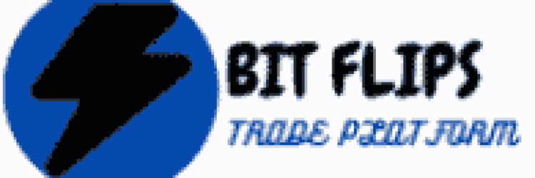 Bitflips.online: Opiniones y comentarios 2024