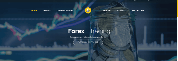 BitForexGlobal: Opiniones y comentarios 2024