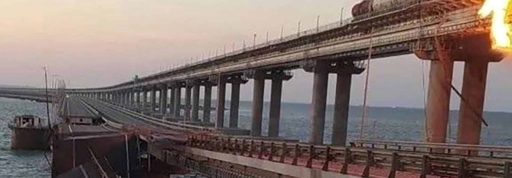 Bridge Capital X: Opiniones y comentarios 2024