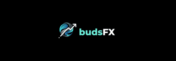 BudsFX: Opiniones y comentarios 2024