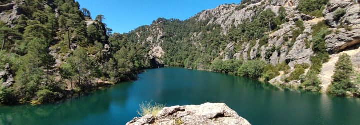 Dalsari: Opiniones y comentarios 2024