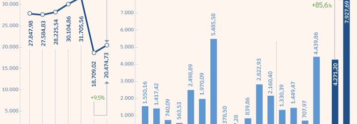 Dividendcare: Opiniones y comentarios 2024