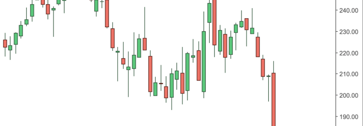 Edex Invest: Opiniones y comentarios 2024
