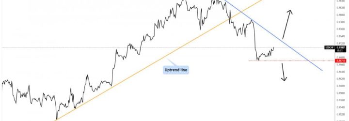 forexgrowths: Opiniones y comentarios 2024