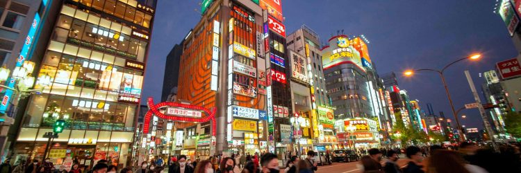 Kabukicho Acquisitions: Opiniones y comentarios 2024