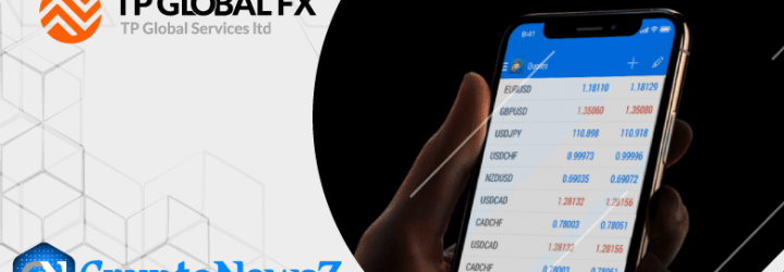 TP Global FX: Opiniones y comentarios 2024
