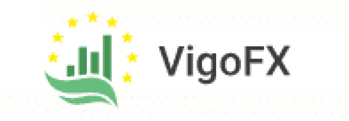 VigoFX: Opiniones y comentarios 2024