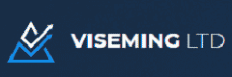 Viseming: Opiniones y comentarios 2024