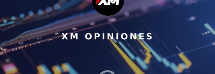 XMMarket: Opiniones y comentarios 2024