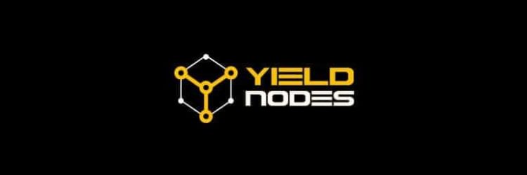 YieldNodes: Opiniones y comentarios 2024