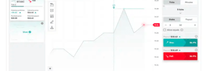 AskoBID: Opiniones y comentarios 2024