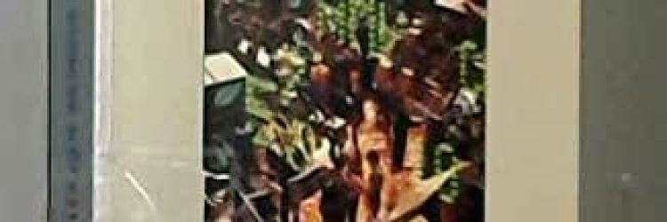 BanqueCommerce.com: Opiniones y comentarios 2024