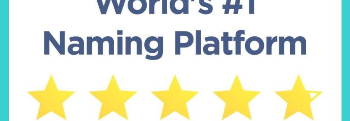 CoinTradeNet: Opiniones y comentarios 2024