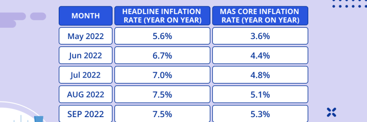 CompareFixedBonds: Opiniones y comentarios 2024