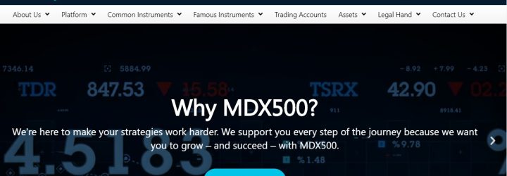 DMX Markets: Opiniones y comentarios 2024