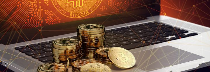 Forex Crypto Investment: Opiniones y comentarios 2024