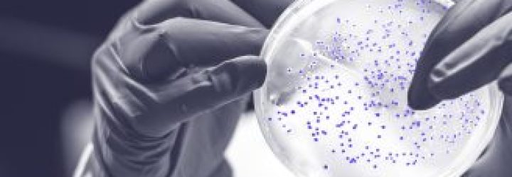 Investcodex: Opiniones y comentarios 2024