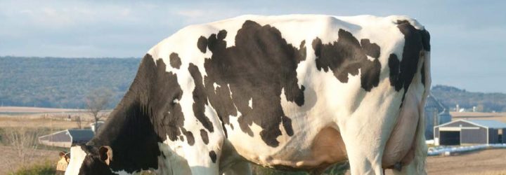 Mitch&Young: Opiniones y comentarios 2024