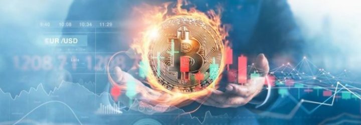 RoyalFX24: Opiniones y comentarios 2024