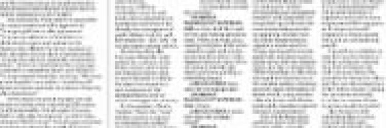 Shaubit: Opiniones y comentarios 2024