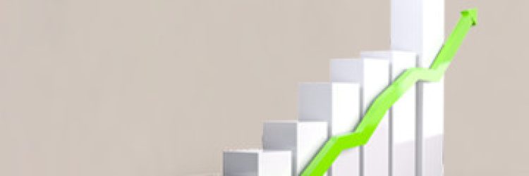 Sovereign Bond Fund: Opiniones y comentarios 2024