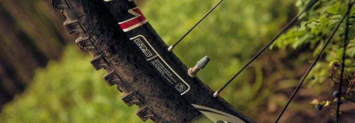 SwissFXM: Opiniones y comentarios 2024