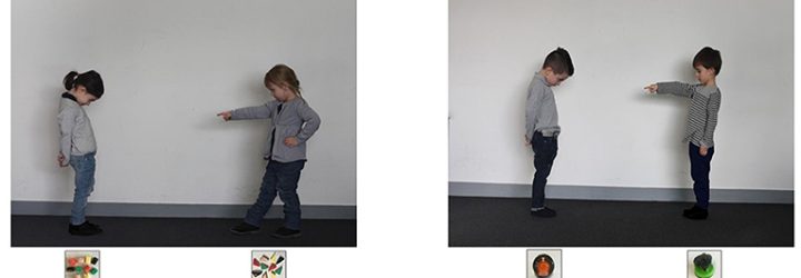 Tradon.io: Opiniones y comentarios 2024