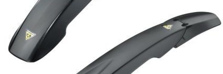 Wangton Option Fx: Opiniones y comentarios 2024