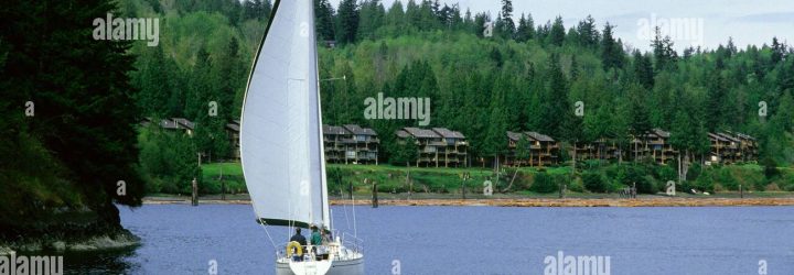 WegoFx: Opiniones y comentarios 2024